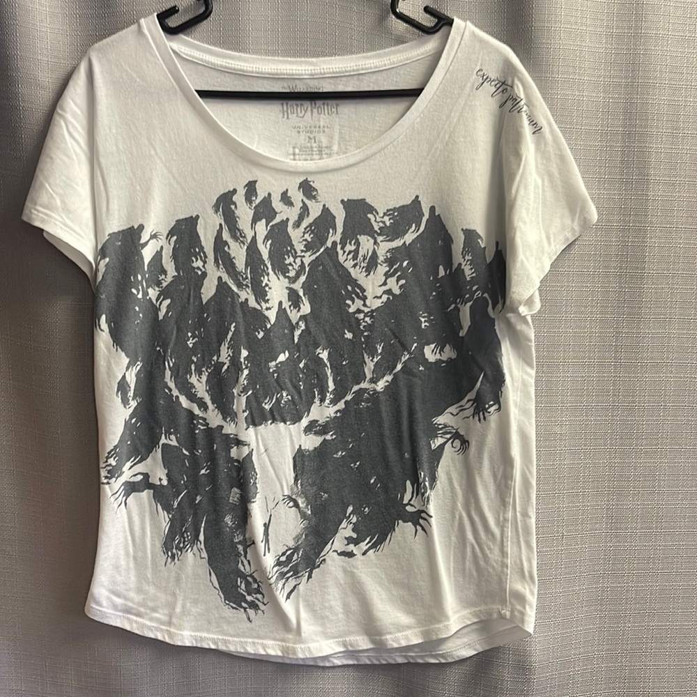 Harry Potter graphic tee